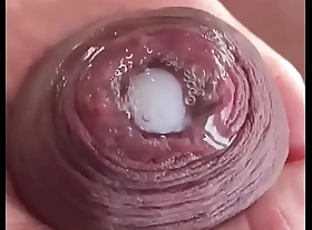 Compilation of Uncut Dick