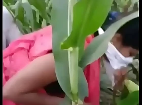 Indian regional Bhabhi sex in farm
