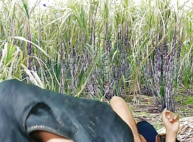 Ganne kr khet me chudai.Bhabhi ko devar ka kala mota lund aaya pisand, sugarcane field me bhabhi ki chudai outdoor Hindi audio.