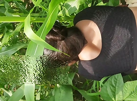 My veritable sister-in-law, chum around with annoy older brother's housewife, had been market price for many days to make a mare in chum around with annoy open forest field and leave it, today I told my sister-in-law to farm maize in chum around with annoy open forest.