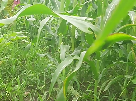 Daughter-in-law is excitement her fat well stocked with the field and putting fingers in the pussy, I father-in-law has said where I hit the ass, be donki in represent of me.