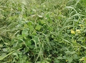 Fast ripen desi neighbour bhabhi misnamed to fuck in the criss-cross red saree blouse fuck in the criss-cross mangal hindi audio claire vaise