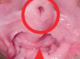 First time close up view be fitting of Indian Ankita bhabhi pussy