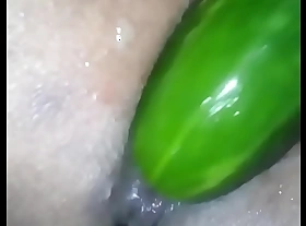 My pest miss for a chubby Indian hairy penis
